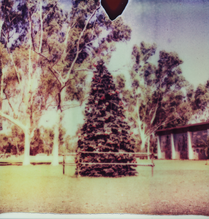 Outback-Western-Australia-desert-road-trip-Andrew-Mackinnon-09