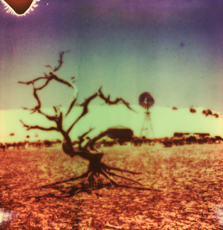 Outback-Western-Australia-desert-road-trip-Andrew-Mackinnon-11